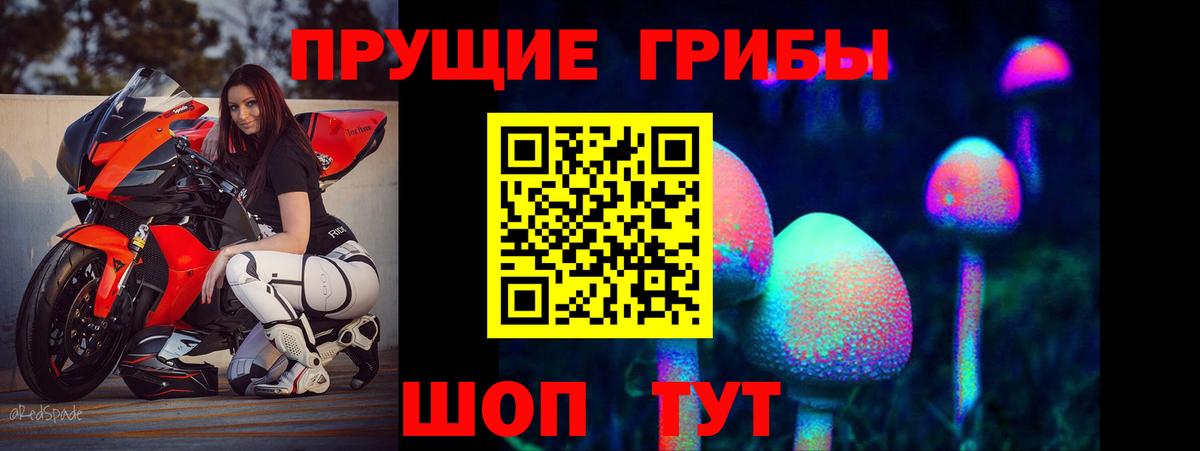 Вышний Волочёк  Псилоцибиновые грибы GOLDEN TEACHER  Вход с VPN  Галлюциногенные грибы мухоморы 