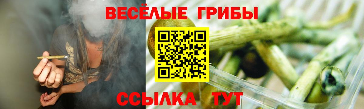 Галлюциногенные грибы мухоморы Вышний Волочёк